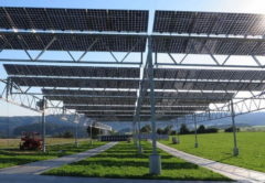 агро фотовольтаика