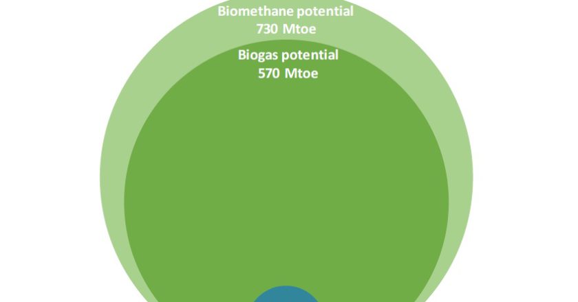 биогаз и биометан МЭА
