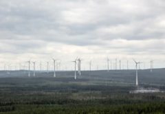 Крупнейшая ветровая электростанция Европы