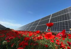 солнечная электростанция в Испании