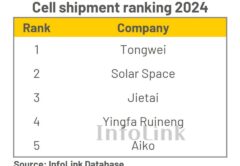 Крупнейшие производители солнечных ячеек в 2024 году