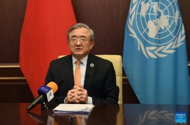 Специальный посланник Китая по вопросам климата