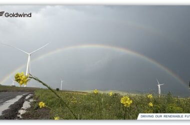 Крупнейшая ветровая электростанция в Грузии